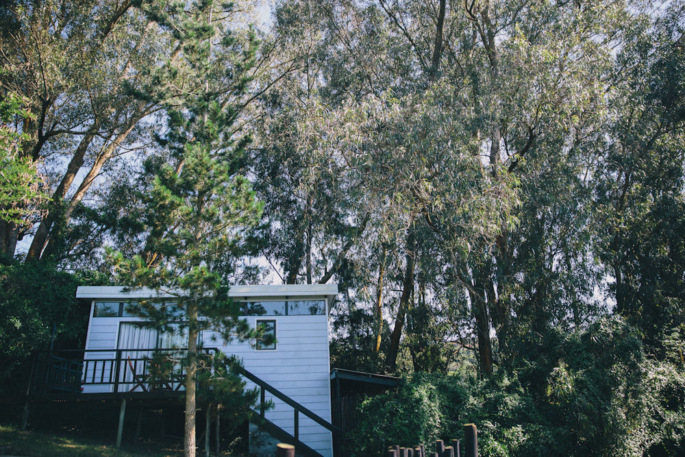 L'Auberge Country Hideaway Hotel Port Elizabeth Exterior photo