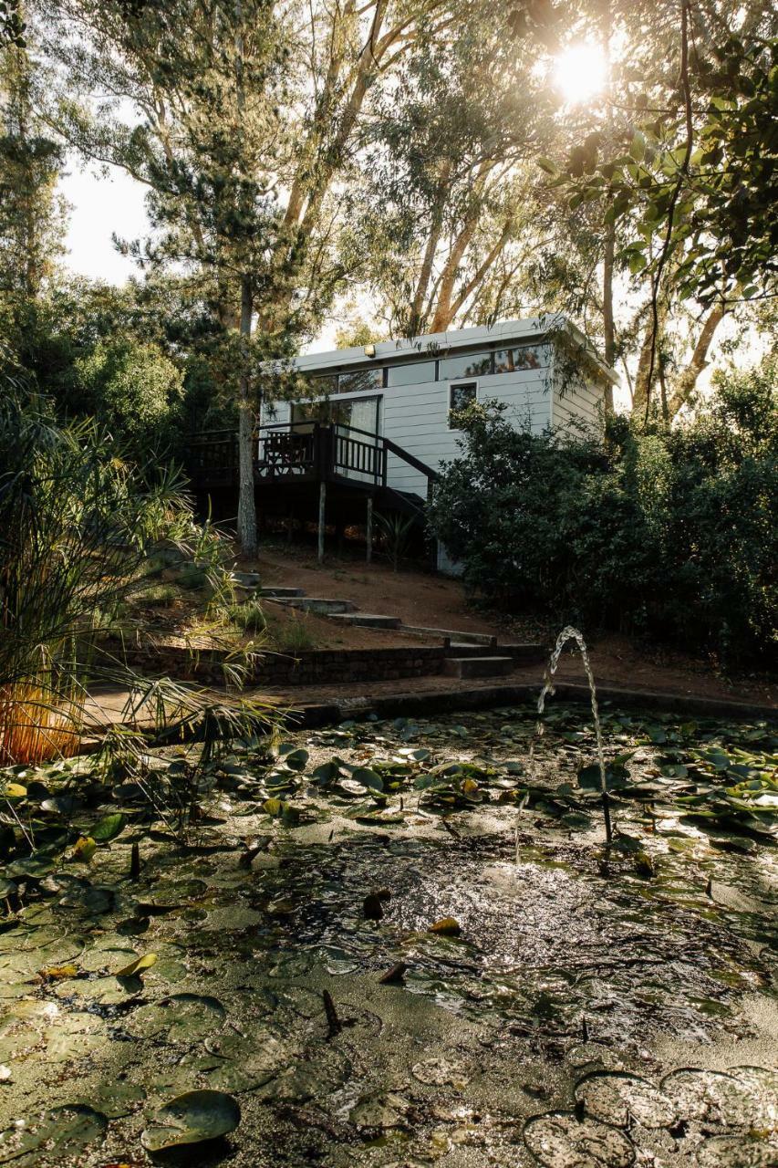 L'Auberge Country Hideaway Hotel Port Elizabeth Exterior photo