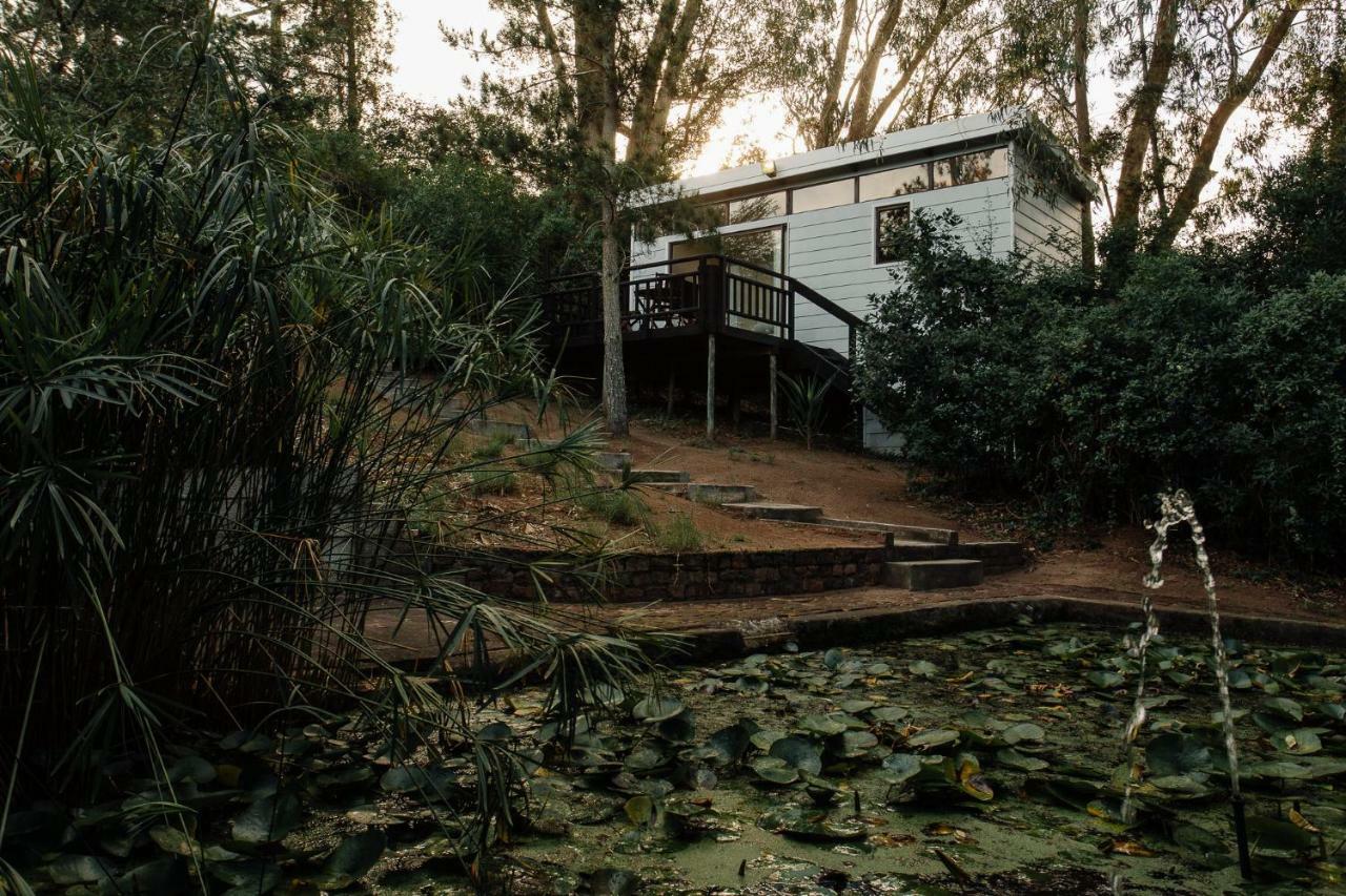 L'Auberge Country Hideaway Hotel Port Elizabeth Exterior photo