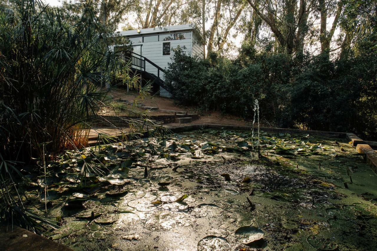 L'Auberge Country Hideaway Hotel Port Elizabeth Exterior photo